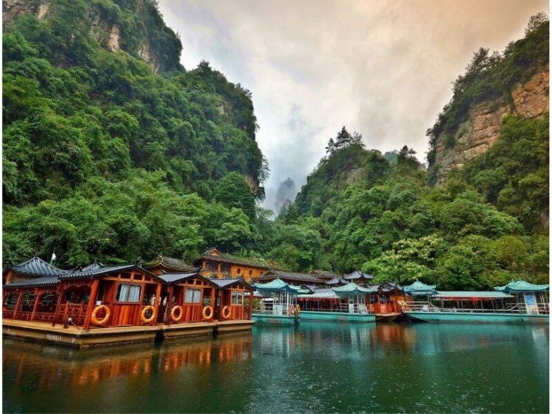 Hồ Bảo Phong Trương Gia Giới Hồ Bảo Phong Trương Gia Giới